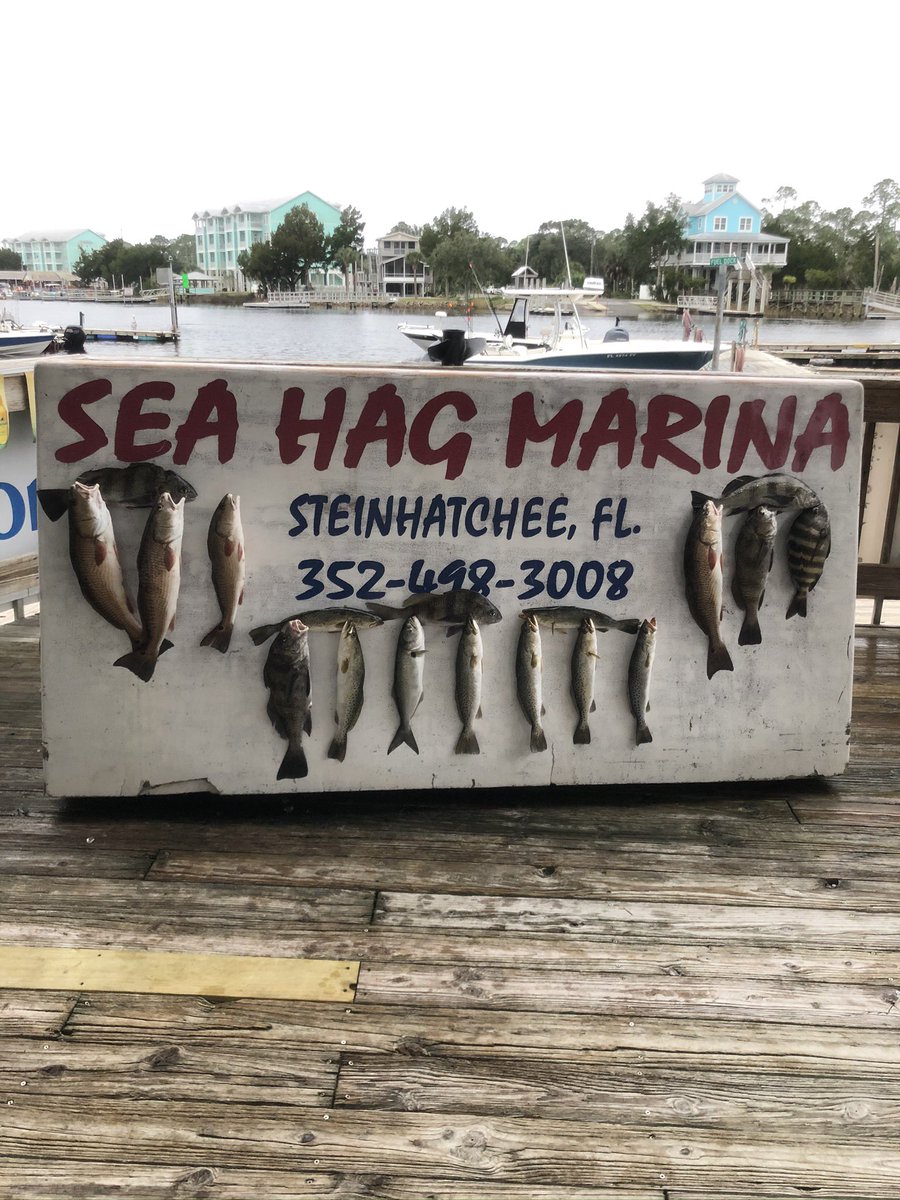 shane_dimora's tweet image. saltwater fishing 🎣
