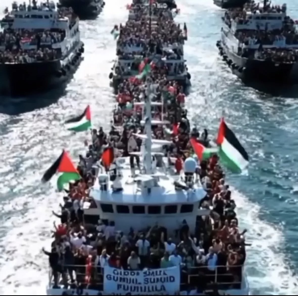 Por la Libertad de Palestina