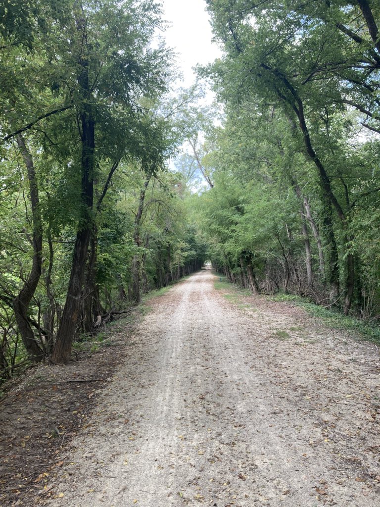 Nice weather for a jaunt.