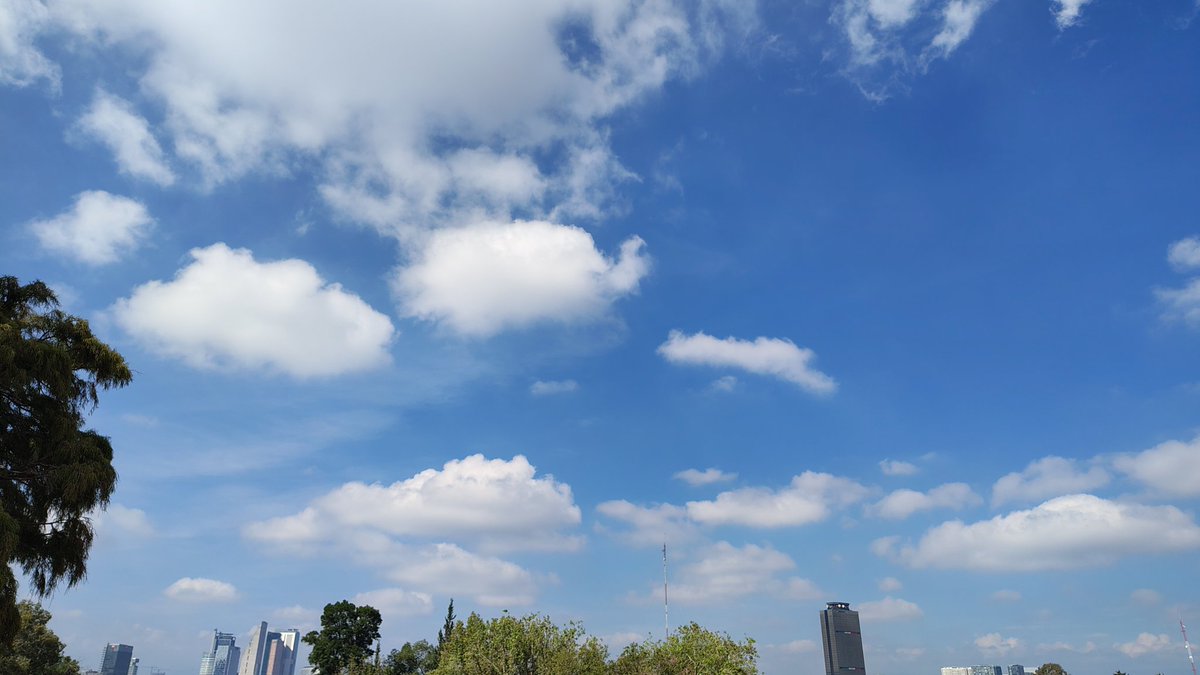 Nubosos días, presencia de nubes Stratocumulus y Cirrus en la Alc. Cuahutémoc, 10:02:24hrs