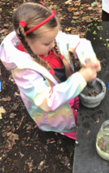 PLIAcademy's tweet photo. The excitement was palpable in Year 2 Forest School! Using oak galls, vinegar, and rusty nails we brewed our own ink. Then, we made feather quills which we used to write poems. Did you know, iron gall ink was used to write the Magna Carta. A true mix of science, history, and art! https://t.co/bqYEx4dFFZ