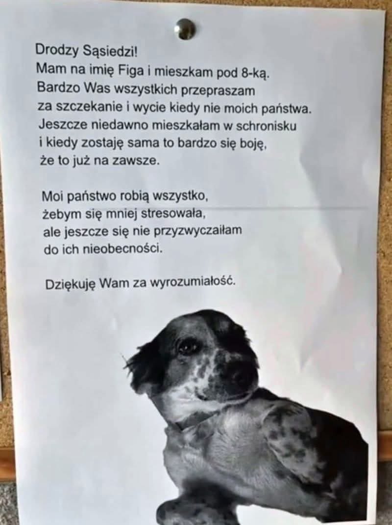 damian_zurawski's tweet photo. Niekiedy jeden drobny gest potrafi odmienić cały sposób patrzenia na sytuację ❤️ https://t.co/36CbpEoM2b