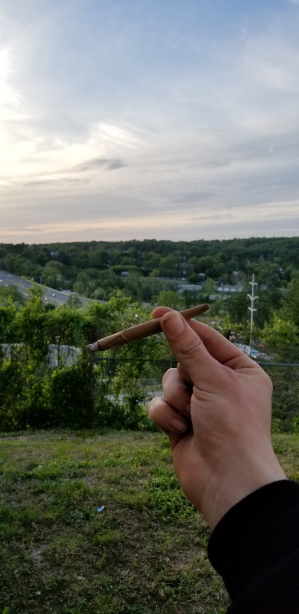 TheRat420_'s tweet image. #Summer2020