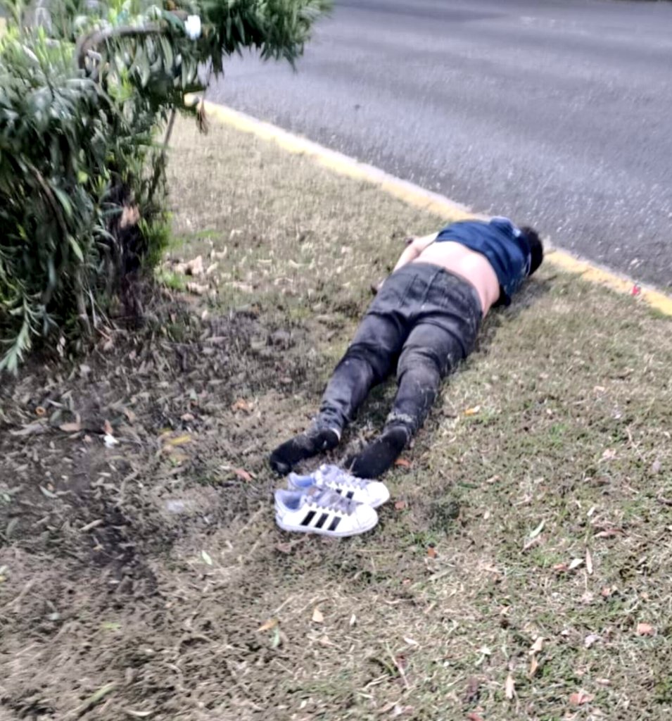 janinereporta's tweet photo. Germán Duque de 26 años falleció en un accidente de tránsito, en la mañana de este domingo tras impactar su motocicleta contra un objetivo fijo, en la Av. José Casanova Godoy, Maracay, estado Aragua. Autoridades realizaron levantamiento del cadáver. 

📷: cortesía https://t.co/zfJGERh7Eq