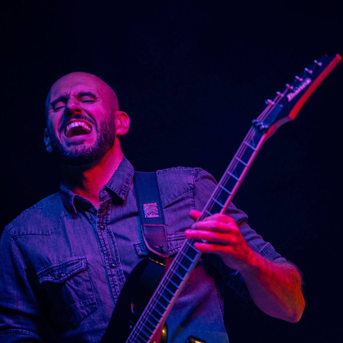 Bloodlust tweet media