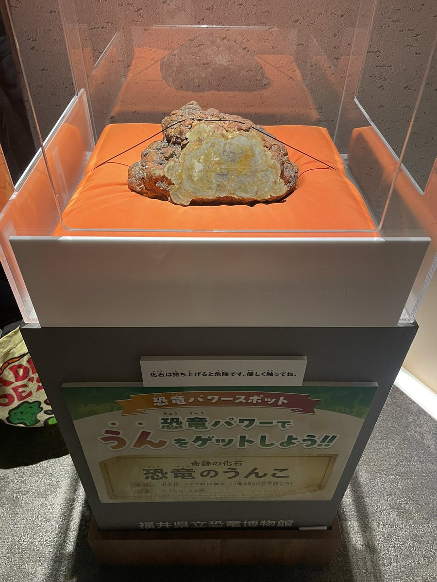 kavka414's tweet photo. 万博ほとんど関西パビリオンで1日終わったけど、恐竜の💩の化石見れて満足やった https://t.co/Jc4zzcXoGv