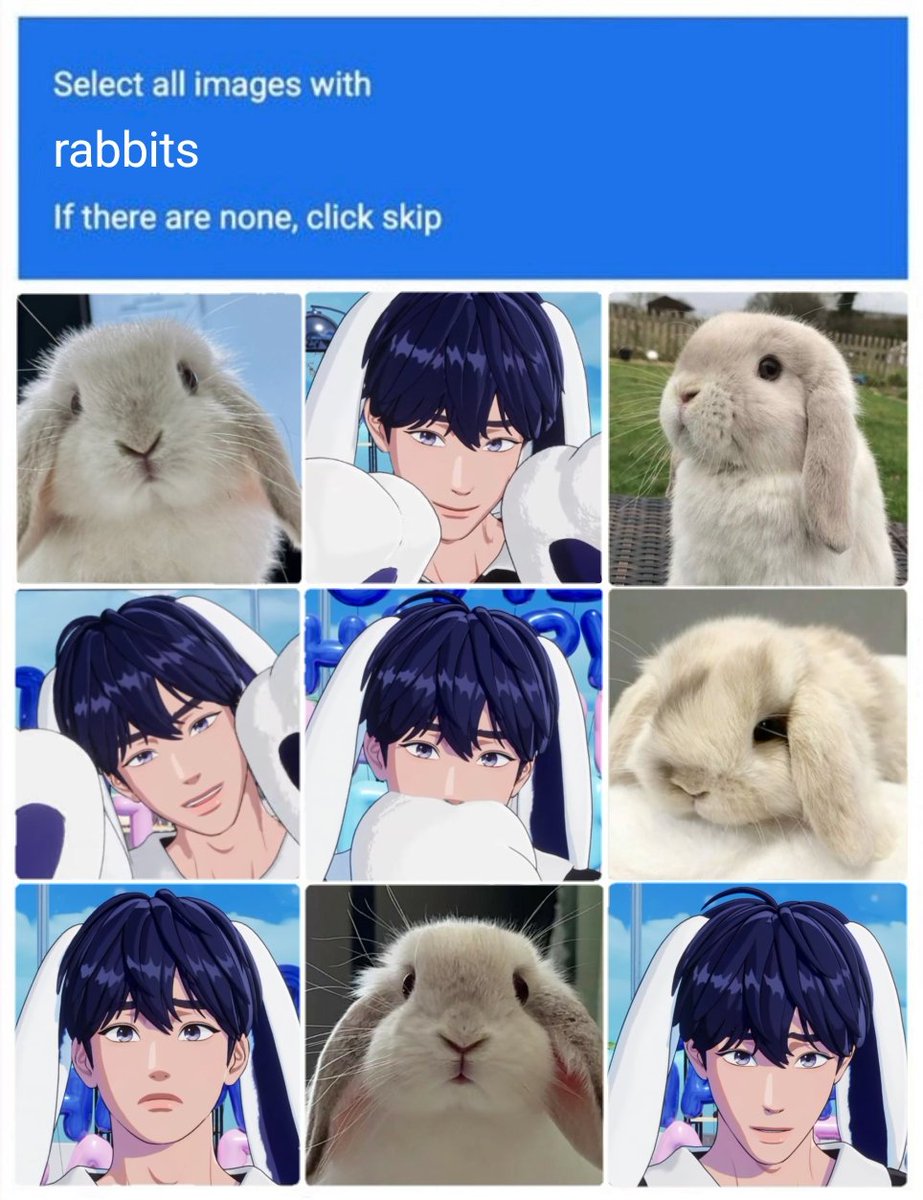 🐰