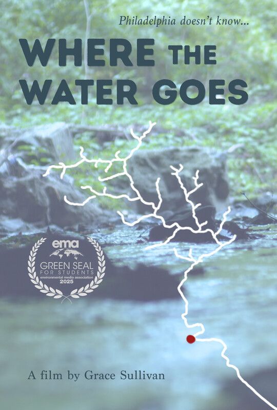 Better Cities Film Festival tweet media