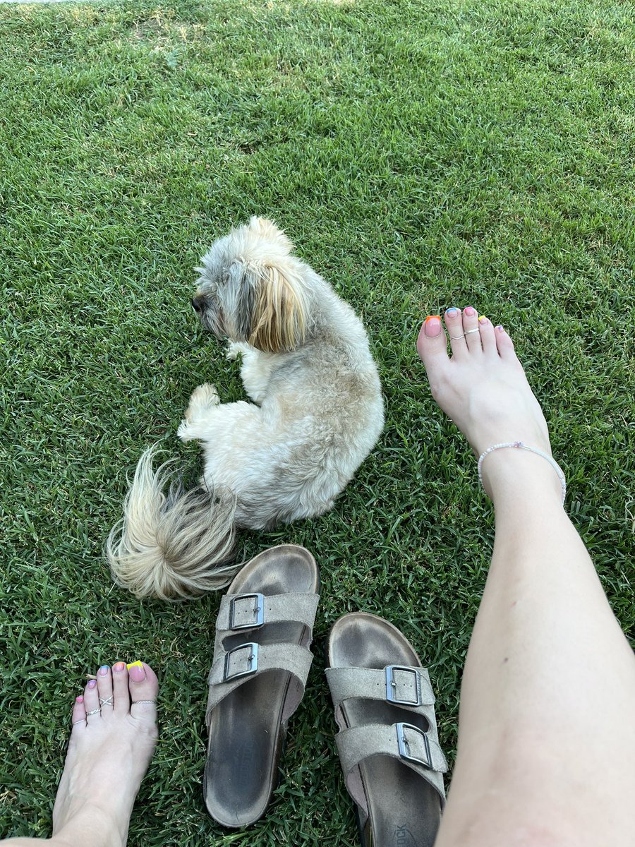 Avianaaaaaaaa_'s tweet image. 