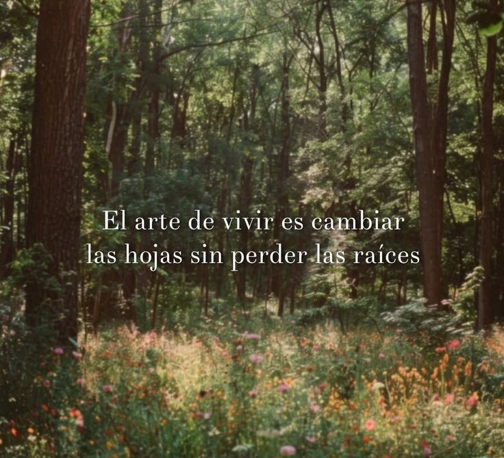 vane (@vanesa_aestetic) on Twitter photo 