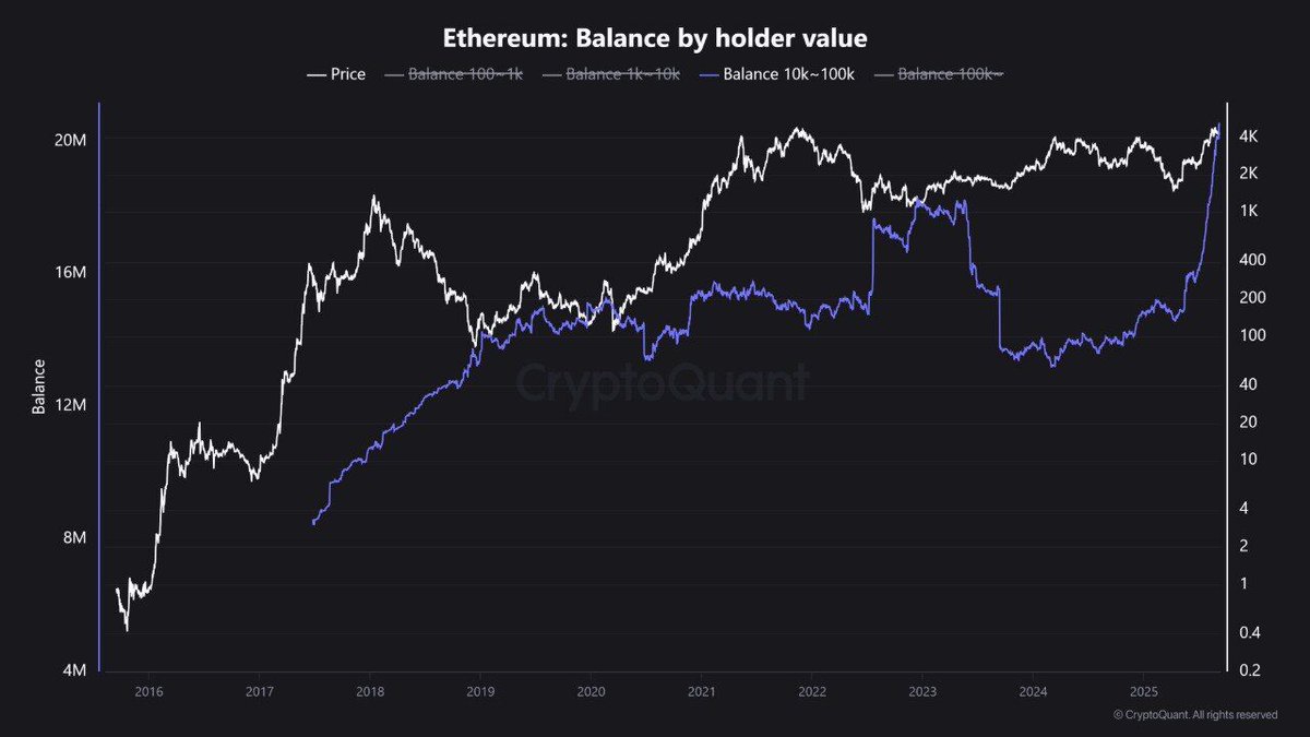 Monarq 👑 tweet media