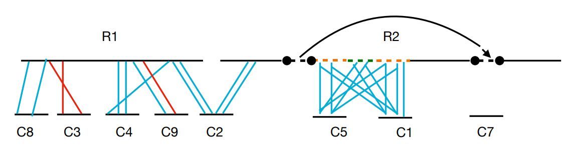 jsantoyo's tweet photo. Anchors for Homology-Based Scaffolding. #GenomeScaffolding #GenomeAssembly @biorxivpreprint
https://t.co/ztm7fRapXG https://t.co/JpZ5tsU50U