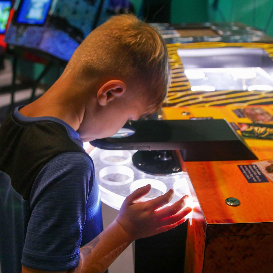 Ever wondered what a bug looks like up close? At Audubon Insectarium, you can see every detail of their amazing anatomy! 🔍