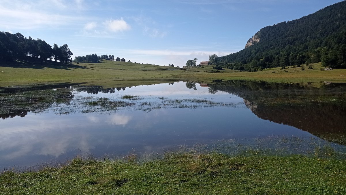 L'Estany dóna fe que, pluviomètricament, està sent un bon any.