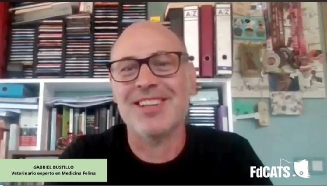 Agnes Dufau tweet media