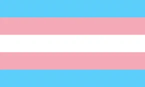 the trans pride flag
