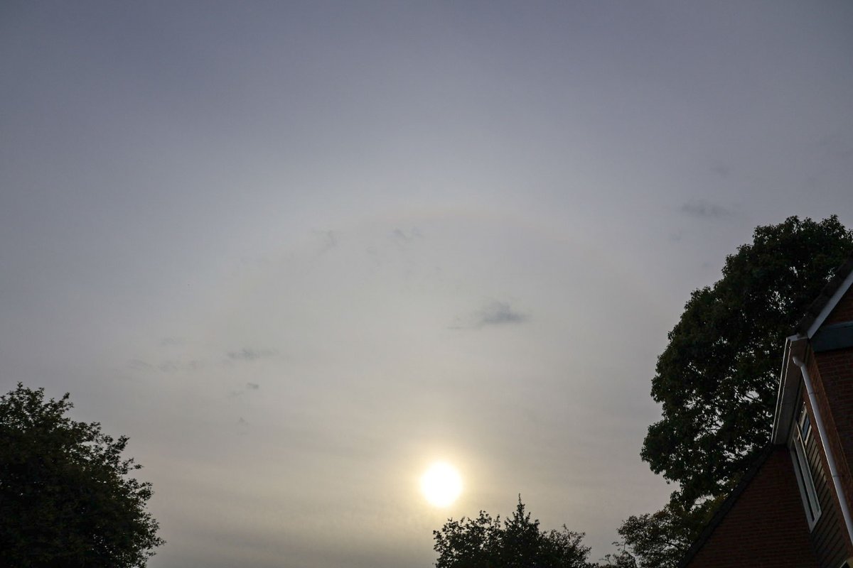 NelleBloem's tweet photo. #sundayvibes #Sunfun
Niet veel tijd voor X gehad vandaag maar wilde toch even deze foto delen. Net,een halo om de zon...niet zo duidelijk maar ik zag het toch.😊 Mooie avond nog!👋 https://t.co/NUGajich2A