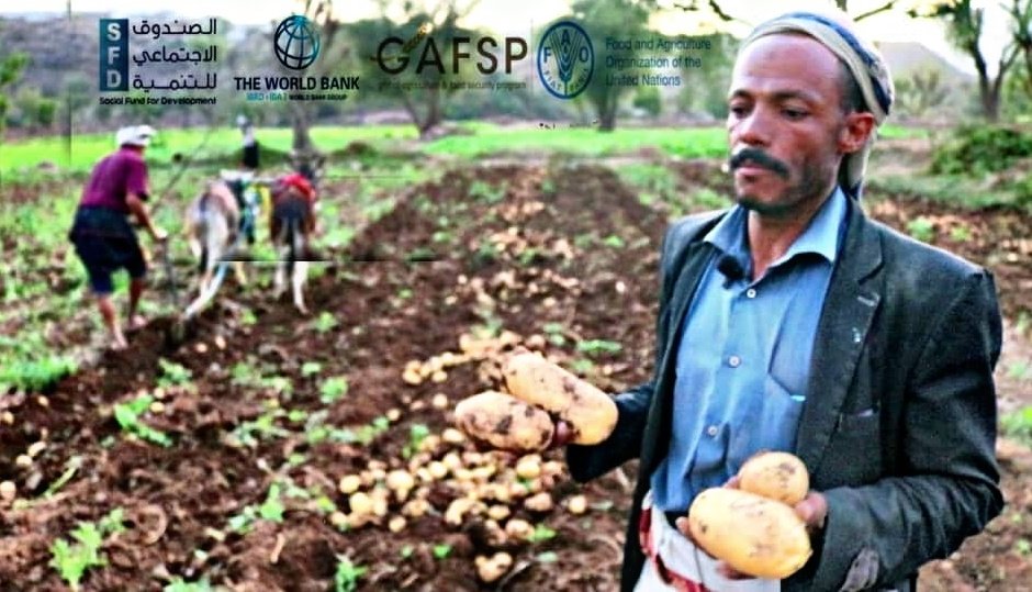 SFDYemen's tweet image. International studies suggested that any support to #Yemen must consider long term and institutional enhancement to recover #SocialProtection &amp;amp; #SafetyNet systems. In particular, future programming should engage  SFD to fulfil this key goal.

#YemenCantWait