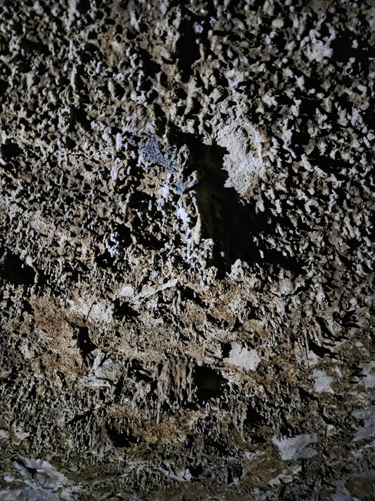 #هايكنج_المدينة tweet media