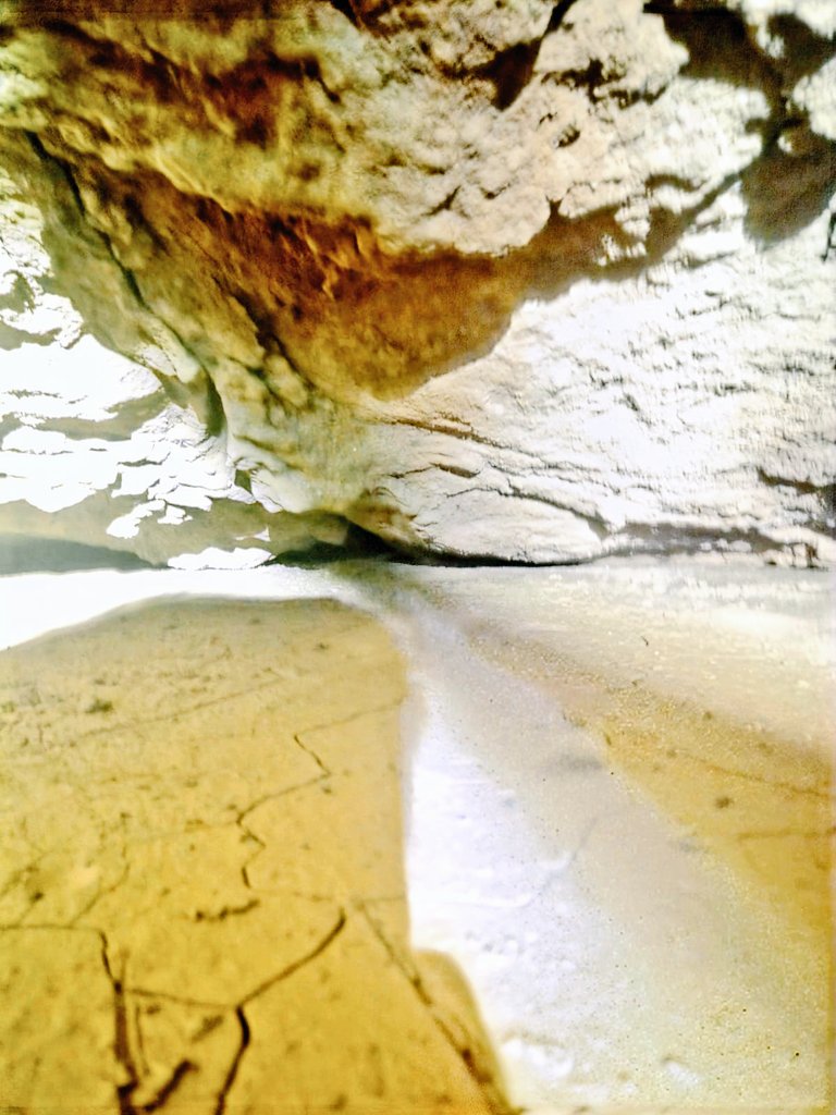 #هايكنج_المدينة tweet media