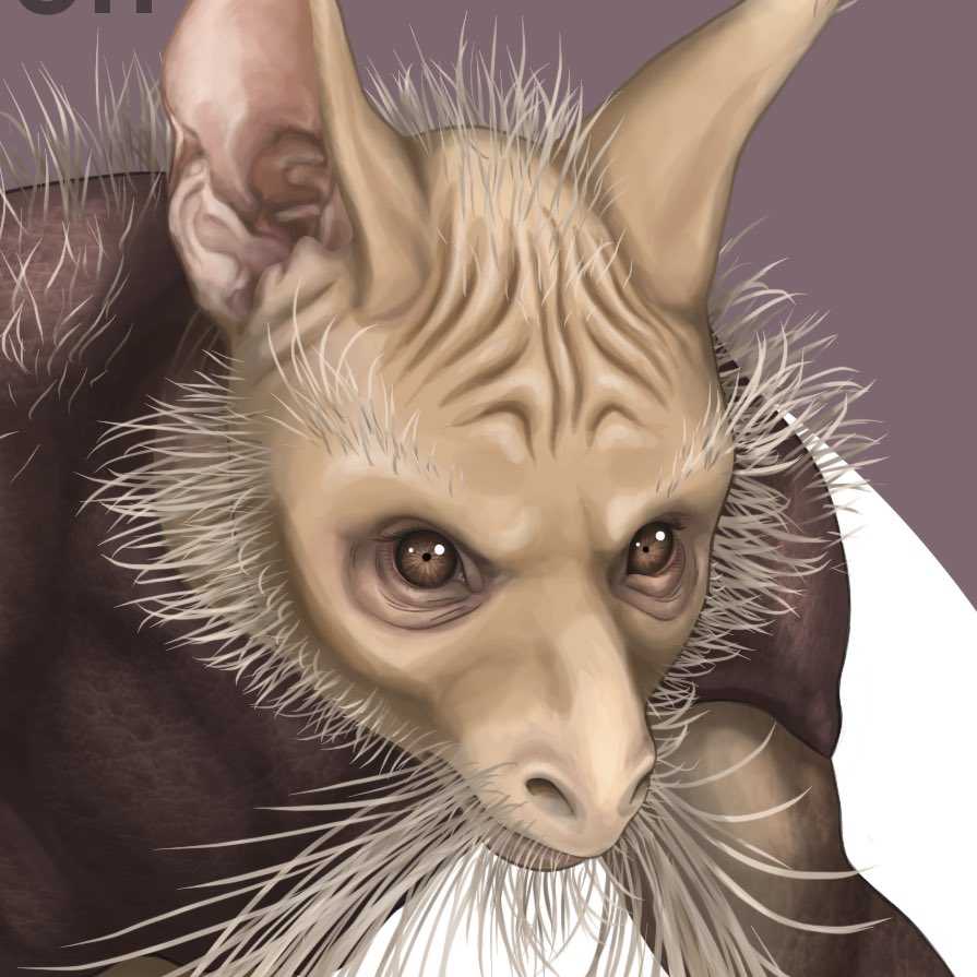 perrycruttenden's tweet photo. Realistic Pokémon Project
Alakazam
#pokemon #ポケットモンスター #ポケモン #realisticpokemon #PokemonScarletViolet #PokemonLegendsZA #Switch2 #PokemonHorizons #PokemonGO #abra #kadabra #alakazam #pikachu #charizard #lucario #gardevoir #eevee #nintendo #foodin #フーディン https://t.co/RTYZJXhx1P