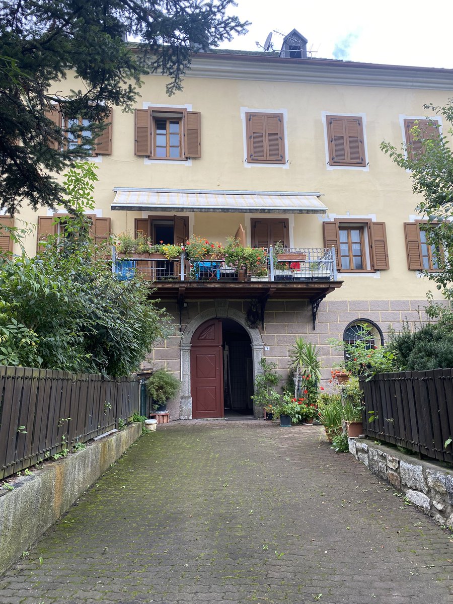 Sonia Zuccaro tweet media