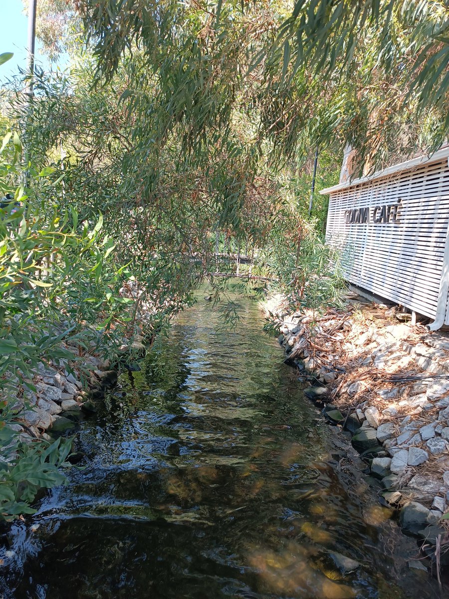 Gezdik 🥳 Dolaştık 🥳 Cahve içtik, Dolu dolu iki gün bitti 😂