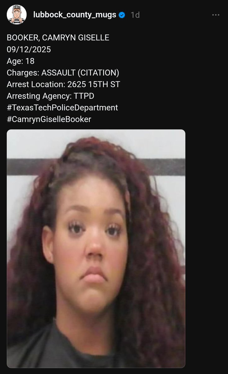 𝚂𝚔𝚢𝚕𝚎𝚛 🌵 tweet media