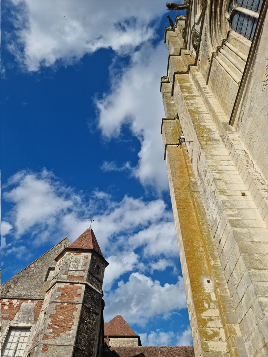 #cathédrale #senlis #chasseurdebeauté