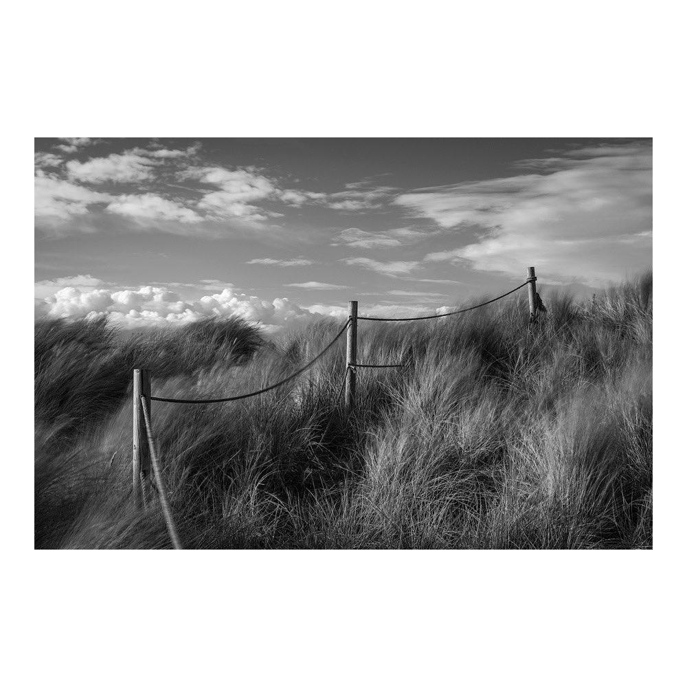 JonGibbsPhoto's tweet photo. Big camera images from my latest Winterton visit https://t.co/0wqx88UHEv