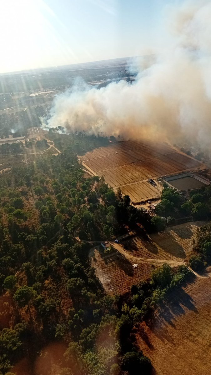 🔴DECLARADO #IFBonares (Huelva).

MEDIOS:
🚒2 autobombas
🛩️2 de carga en tierra, 2 anfibios ligeros
🚁1 pesado, 1 semipesado
🧑‍🚒43 bomberos forestales, 2 técnicos de operaciones, 1 agente de medio ambiente