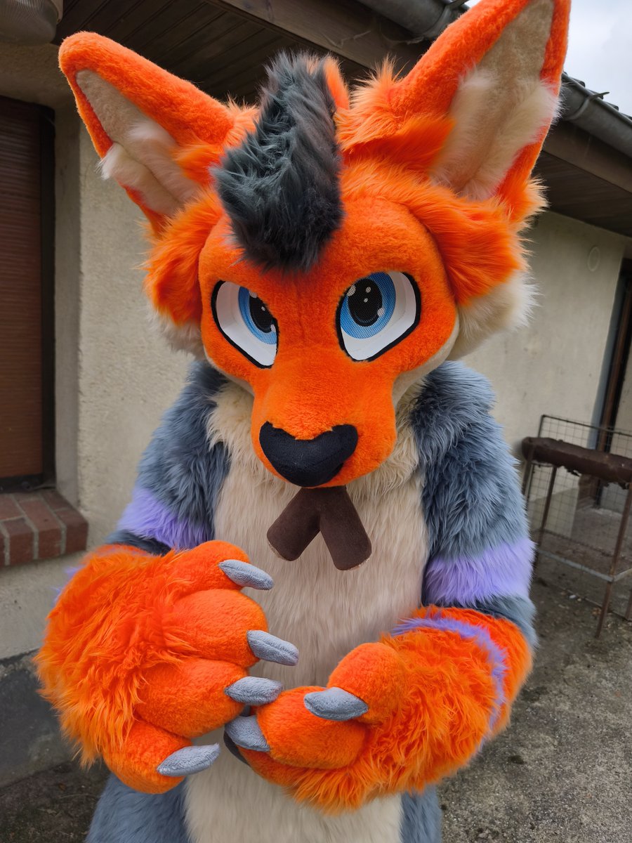 J'ai trouvé un morceau de bois à terre, ça se mange ? 🤨

🪡 <a href="/StellaGryphon/">Stella Gryphon</a> 

#furry #fursuit