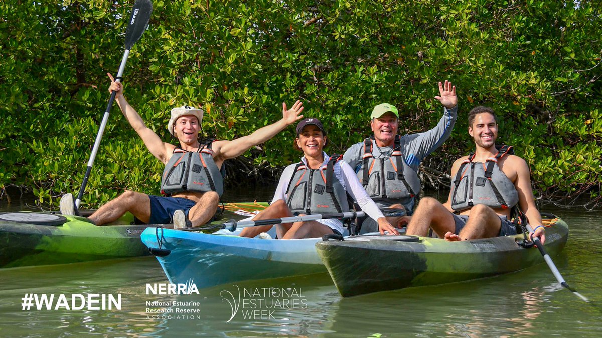 Estuaries4Life's tweet photo. #EstuariesWeek is a gr8 time to support businesses like Rising Tide Explorers, who help people #WadeIn to @RookeryBay! DYK FL Reserves help protect places that attract 2.1M annual visitors, contributing $114.1M to the economy?
@MarioDB @SenRickScott @SenAshleyMoody @ByronDonaldss https://t.co/SSKlZcGZ6o