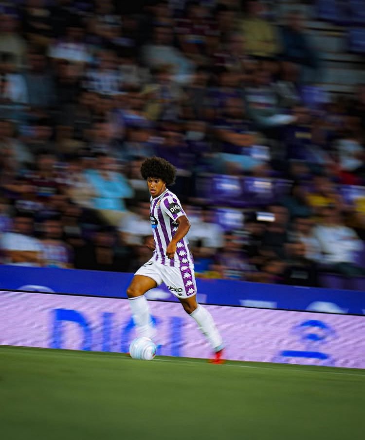 Peter González tweet media