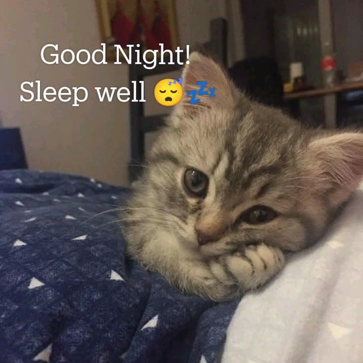 good nightt ♥️🙏