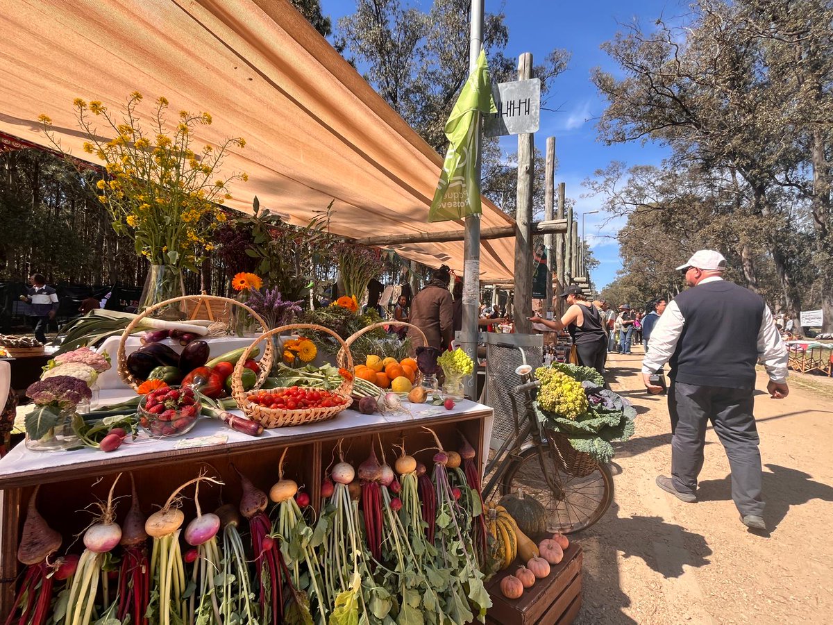 🥬Celebración del Día Nacional de la Agroecología en el Parque Roosevelt! 

Hasta las 18 h con charlas, talleres, feria gastronómica y artesanal, intercambio de semillas, espectáculos en vivo y mucho más! 

Arrimate!