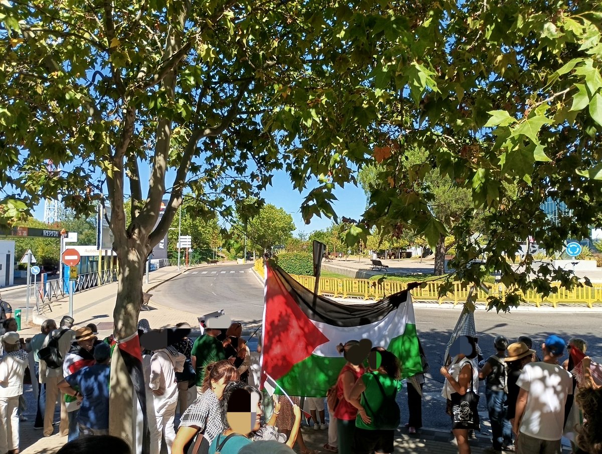 Rafa H. 🔻 🇵🇸 tweet media