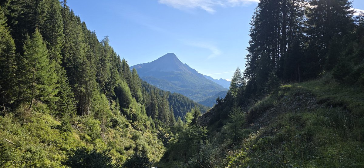 redteamJSY's tweet image. Stopped for two days in Nauders 🇦🇹, on the drive back home. Quick walk before dinner! ☺️

#austria #nauders #tirol #roadtrip