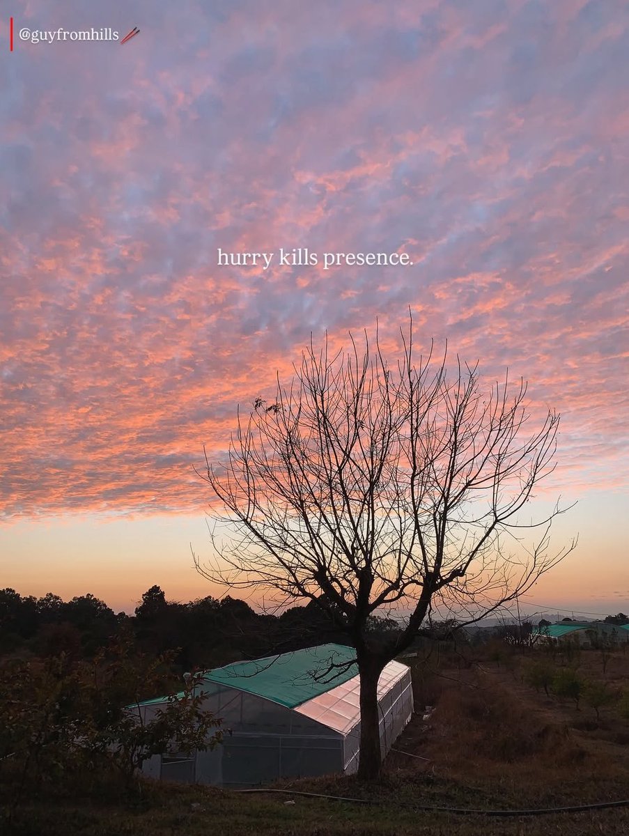 living 

- a thread 👇