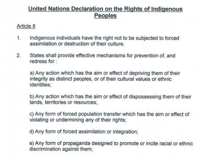Jules Houghton (@juleshough44929) on Twitter photo <a href="/JohnSimpsonNews/">John Simpson</a> We can! Void the 1947 and the 1981 British nationality act! That was illegal against the UN indigenous population act!
THE ENGLISH,SCOTTISH, WELSH AND IRISH ARE INDIGENOUS TO THIS ISLAND !!!
Do that and we can go back! <a href="/JohnSimpsonNews/">John Simpson</a> We can! Void the 1947 and the 1981 British nationality act! That was illegal against the UN indigenous population act!
THE ENGLISH,SCOTTISH, WELSH AND IRISH ARE INDIGENOUS TO THIS ISLAND !!!
Do that and we can go back!