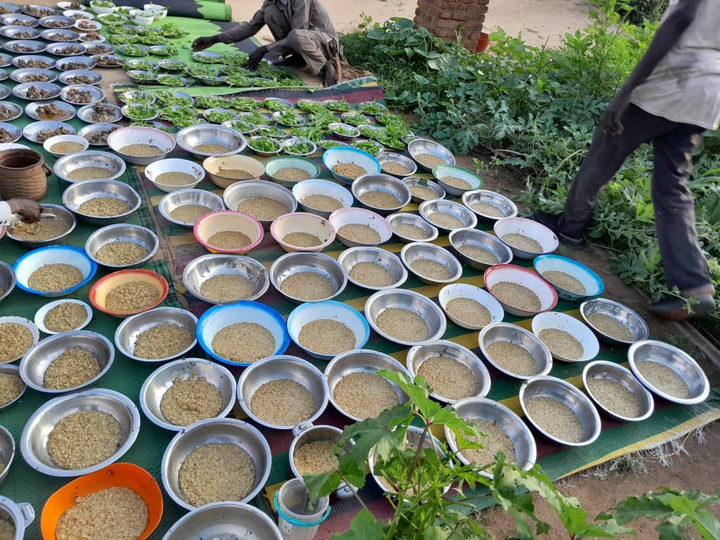 People in west sudan and south sudan are doing their best to sustain themselves and survive ,this won’t be possible without your help so please keep donating and talk more about sudan and the atrocities the RSF committed against us and they keep doing it 

paypal.com/donate/?hosted…