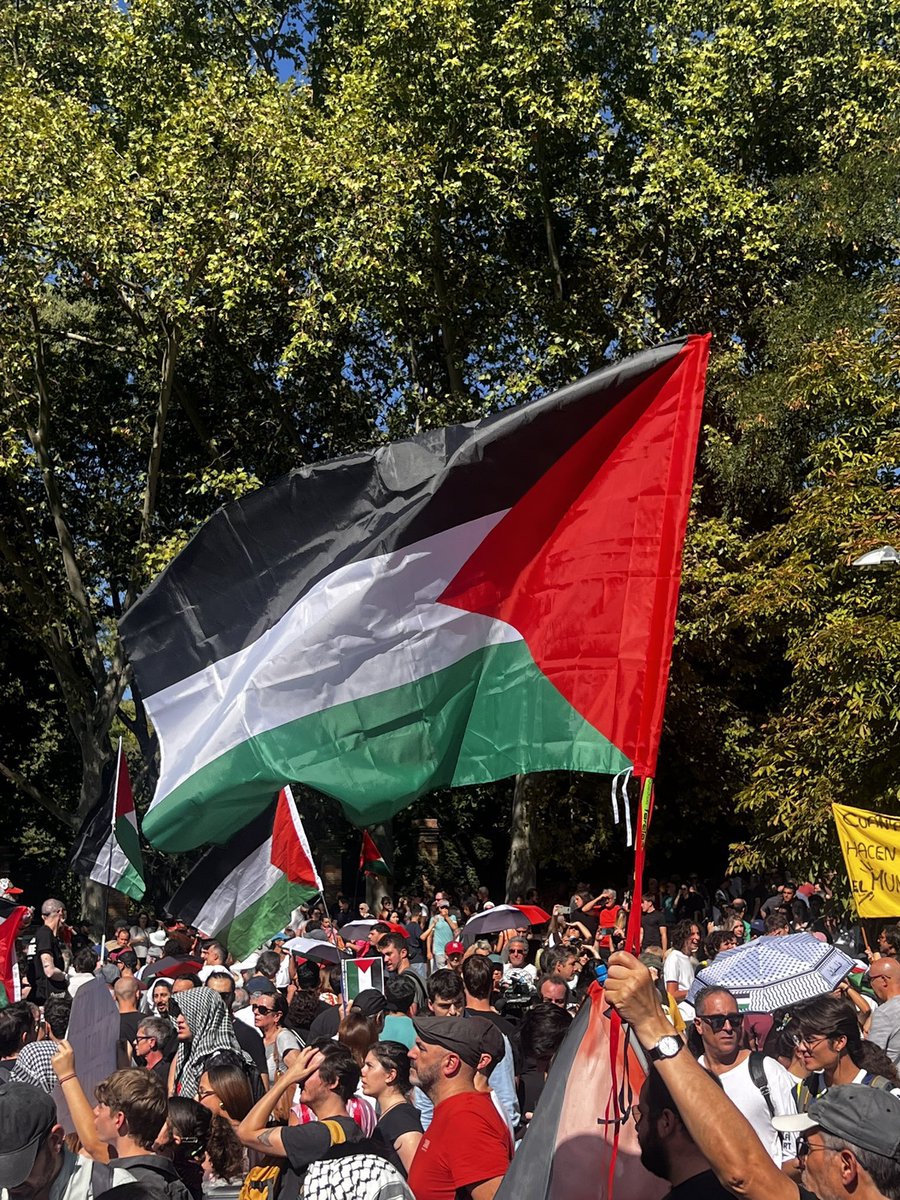 🇵🇸‏ 🇲🇦 ⵔⴻⴷⴰ ⴷⴰⴰⵍⵉ #الحاج# tweet media