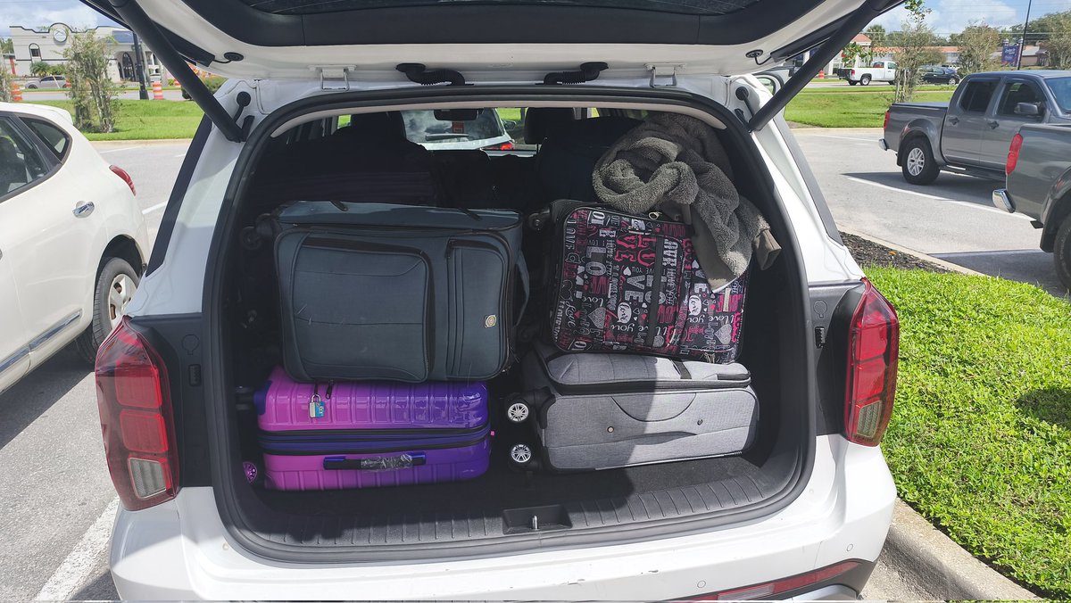 🇧🇷 Dana 🔜 Brasa FurFest tweet media