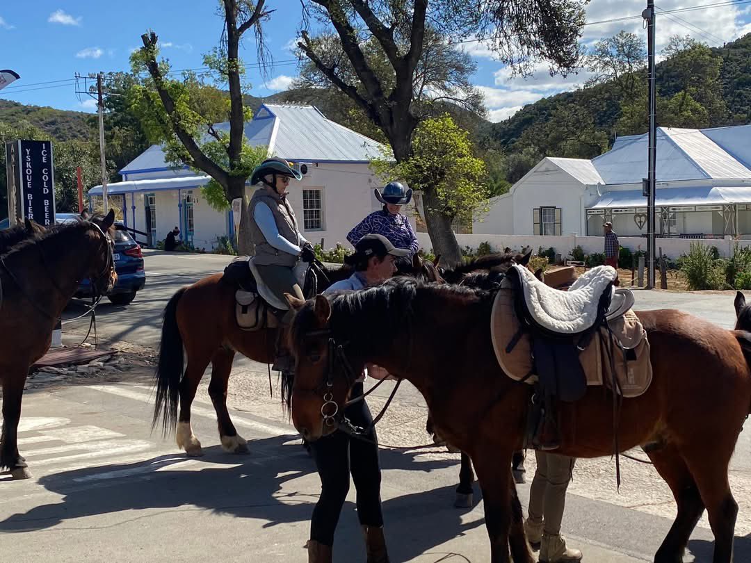 Bitcoin Karoo tweet media