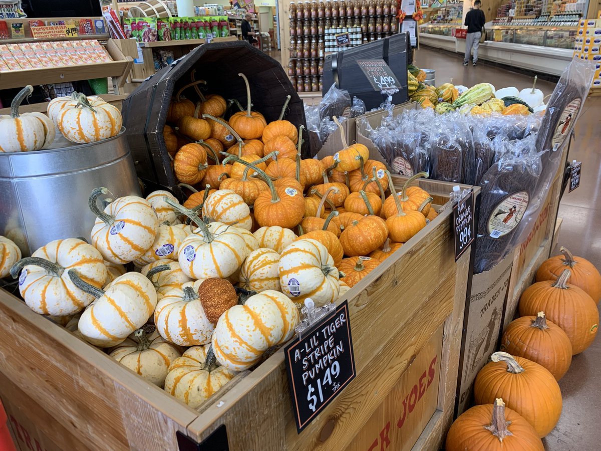 秋天：
看到南瓜，就想起了 Halloween ,
到了 Halloween, 接下来就是 Thanksgiving,
过了 Thanksgiving, 离 Christmas 就不远了。 
然后呢，就是新年和2026了……

我想，不管是在中国还是美国，人到中年，都像是上了发条似的，一年又一年地转动，单调重复，但是因为负重而停不下来……