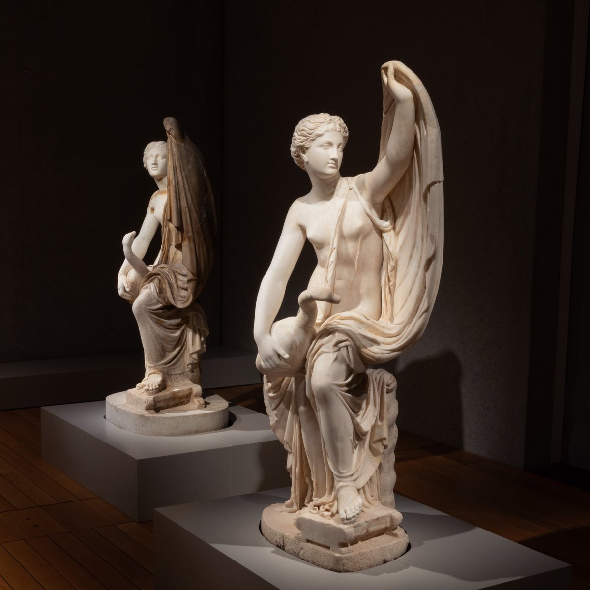 Kimbell Art Museum tweet media