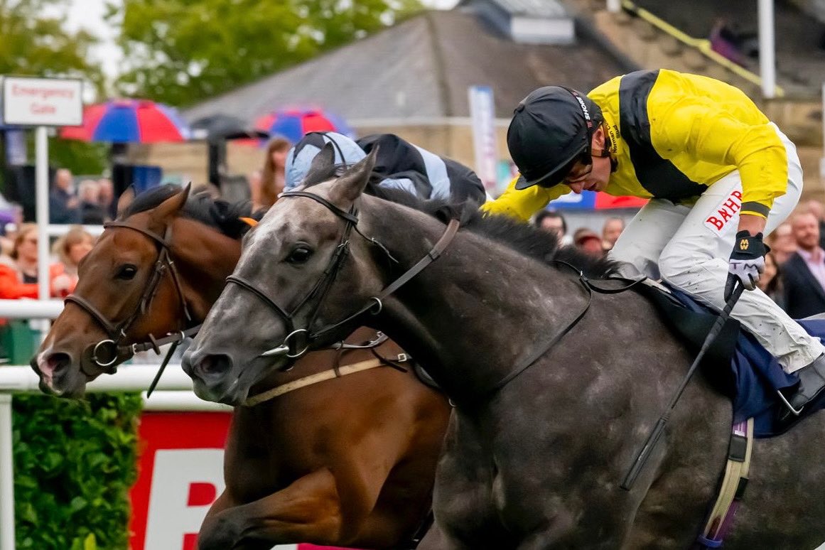 ChannonRacing's tweet photo. Getreadytorumble holds on to record his third success this year at Doncaster under Tom Marquand. Many congratulations to his owner Norman Court Stud 🏆

#JackChannonRacing https://t.co/OFqPkv2Emb