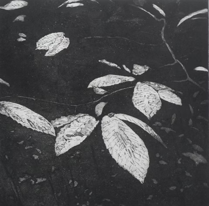 Into the Wild and Nature amongst Urban Clutter - mailchi.mp/45809b24f104/c…