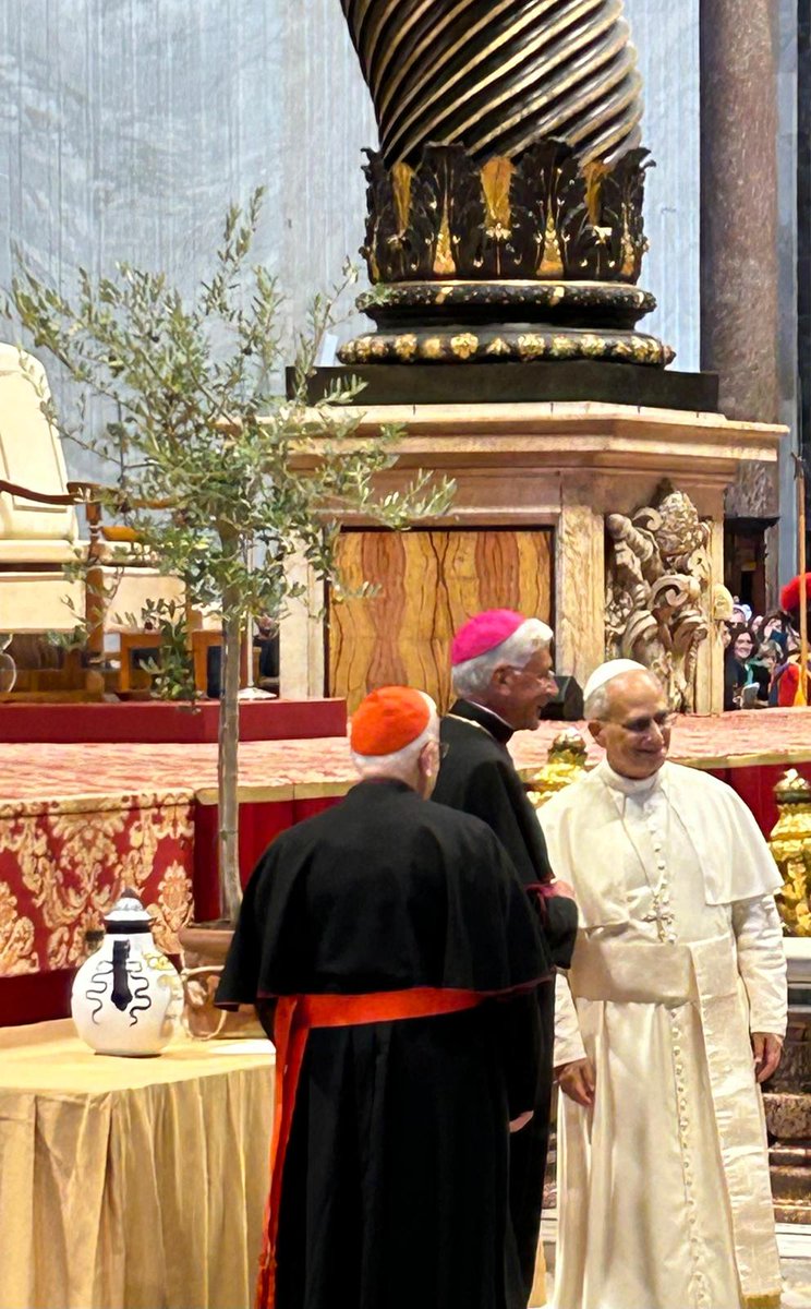 MassimoPioGalli's tweet photo. Auguri infiniti e grazie @Pontifex_it per averci ricevuti come Chiesa Umbra e averci ricordato l'eredità che ci è stata tramandata e dobbiamo custodire!
#AuguriPapaLeone https://t.co/zwWYvIgULp
