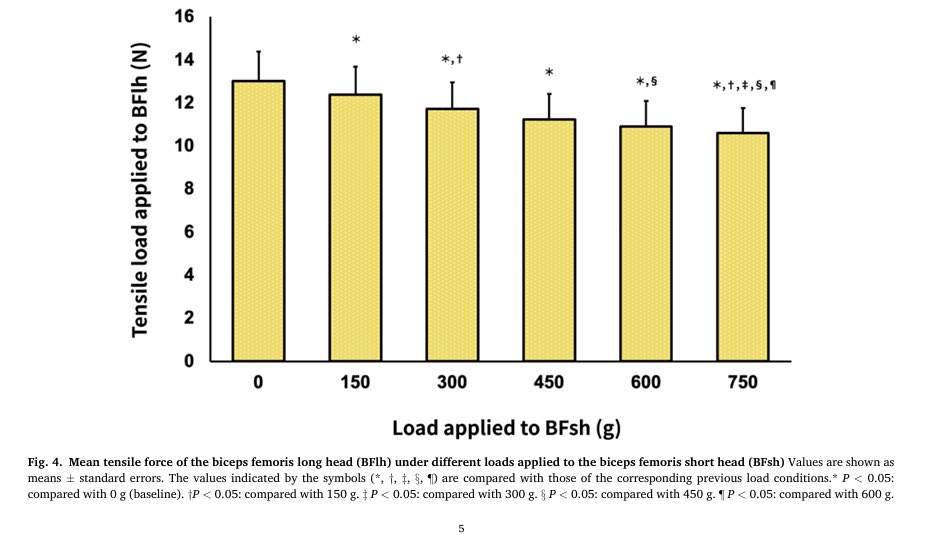 zentrumsport's tweet image. 🚨🚨NEW🚨🚨💥💥
 More around T junction injuries 👀
Incremental loads added to BFsh &amp;lt;  tensile load and stiffness in BF Lh
The distal región of the BF lh &amp;gt;stiffness decrease  
BF Short head PROTECTS long head !🔥 Work on it!💣
A pleasure design this one  with 🇯🇵 @gkt10_official